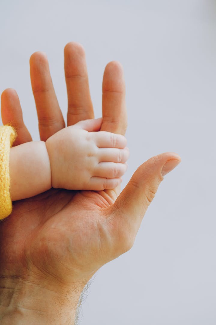 Prenatal Nutrition Surges +37.6%: Category Trends Reshaping China's Maternity &amp; Baby Market in 2025