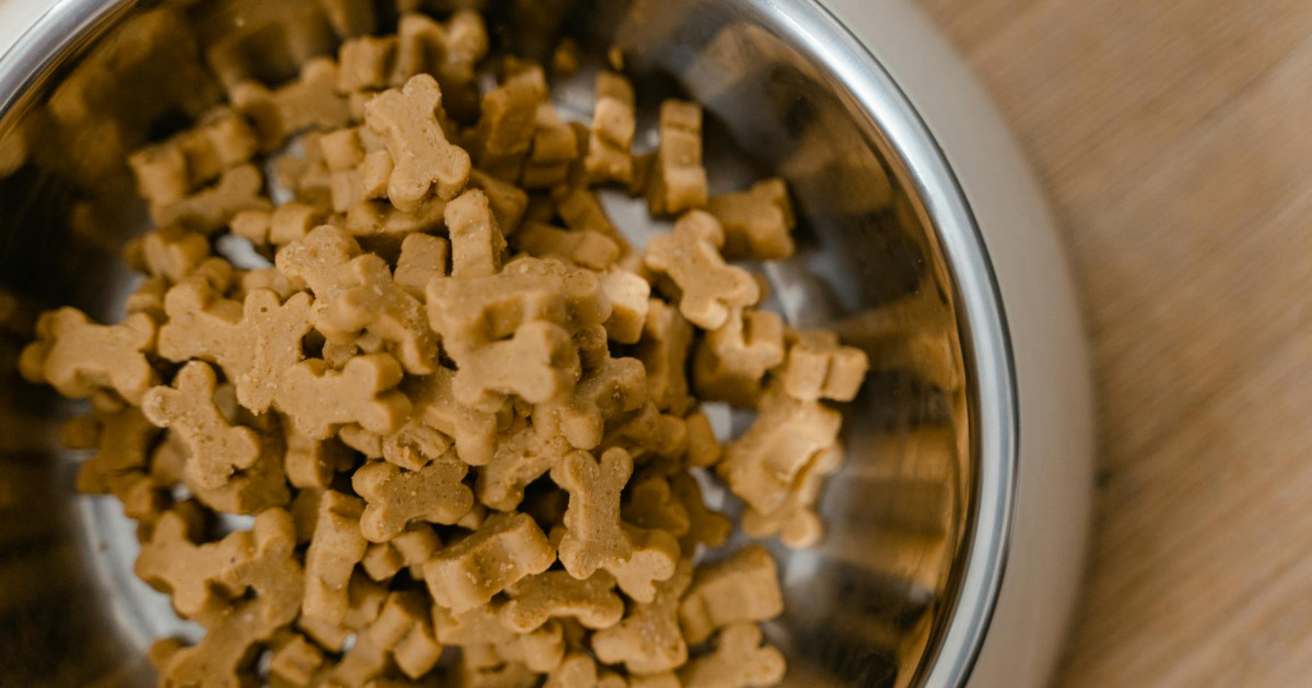 Freeze-Dried Pet Food Hits CN¥ 1.14B as China's Pet Parents Go Premium